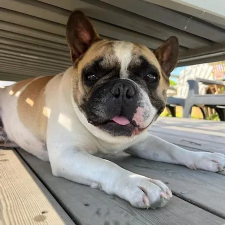 Ker Isari 2* Auterive (Haute-Garonne)